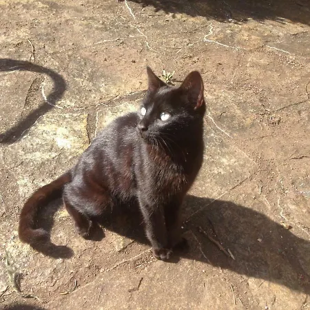 As Jarras Affittacamere