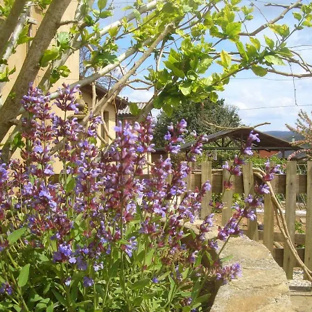 Affittacamere As Jarras 3*