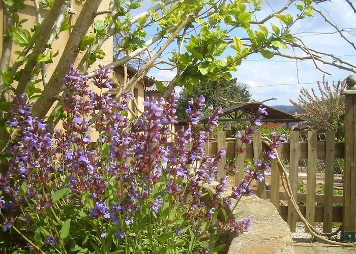 Gasthuis As Jarras 3*